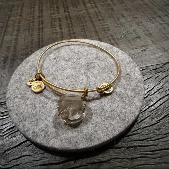 Alex and Ani Gold Charm Crystal Bangle Bracelet - Picture 1 of 3